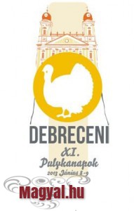 XI. Debreceni Pulykanapok
